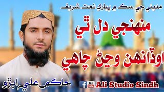 Muhnji Dil Thi Odah Wajan  Hakim Ali Abro NewNaat2024 [upl. by Ahsinna]