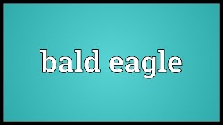 Bald eagle Meaning [upl. by Ann-Marie681]