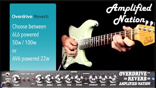 Amplified Nation Overdrive Reverb [upl. by Chace]