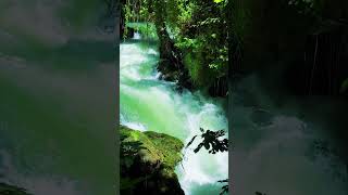 Calm Zen River Flowing sound with Nature Sounds for Meditation Spa Sleep amp Relaxation [upl. by Cissie305]