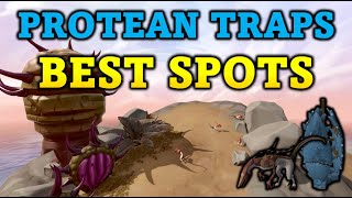 Best Spots for Protean Hunter Traps  Protean Trap Guide  RuneScape 3 [upl. by Pillihpnhoj]