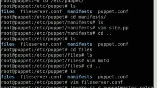 Server Configuration with Puppet [upl. by Katya]