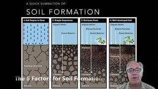 Soil Formation 5 Soil Factors Part 1 [upl. by Idnahr309]