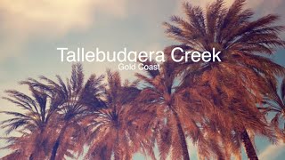 Tallebudgera Creek  the best place to camp on the Gold Coast [upl. by Goldstein735]