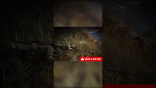 Tom Clancys Ghost Recon Breakpoint viralshorts short [upl. by Anis]