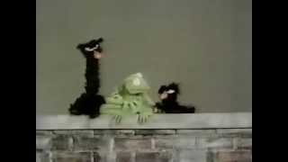 Classic Sesame Street  Kermits Tall and ShortBig and Little lectures [upl. by Gladwin]