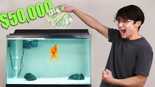 I Gave My Goldfish 50000 to Trade Stocks [upl. by Nodab]