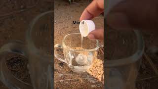 Treatment of pox in pigeon chicks pigeon pox chicks treatment medicine ytshorts [upl. by Einnus]