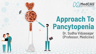 Approach to Pancytopenia by Dr Sudha Vidyasagar Professor Medicine [upl. by Jerold741]