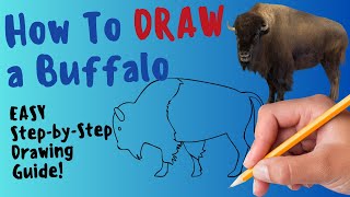 How To Draw A Buffalo  Fun and Easy Step By Step Drawing and Coloring Tutorial [upl. by Clintock508]