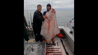 Fishing Salmon and Halibut in Yakutat Alaska [upl. by Rollecnahc]