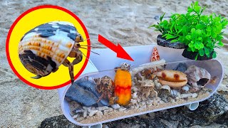 Making a tide pool aquarium  Hermit crab  Part 7 [upl. by Litman629]