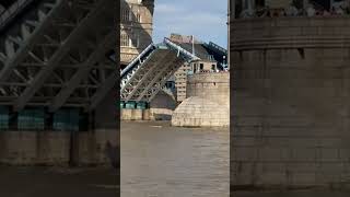 tower bridge London shortsfeed travel placestovisit shorts [upl. by Latreshia]