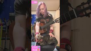 2024年8月30日 ギター練習ガットギター Guitar Practice  Classical Guitar Spanish Romance ♩95 [upl. by Arlina950]