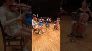 our favorite Encore✨A New Satiesfaction✨ violin cello music viola stringquartet risusquartet [upl. by Eada]