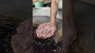 Chapli Kabab Season 😲 youtubeshorts ytshorts foodshorts chaplikabab [upl. by Appilihp]