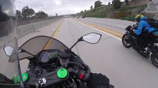 R6 vs Zx6r 636 Friendly Runs [upl. by Nylinej]