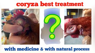 CORYZA treatment with medicine and natural process II CORYZA DIESE BEST TREATMENT II [upl. by Travis51]