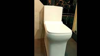 NEW ESSCO commode washroom bathroom tranding onepiece [upl. by Hymen306]