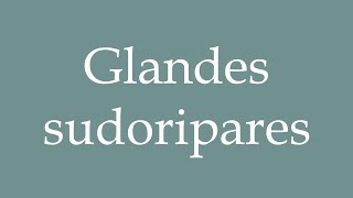 How to Pronounce Glandes sudoripares Sweat glands Correctly in French [upl. by Macguiness873]