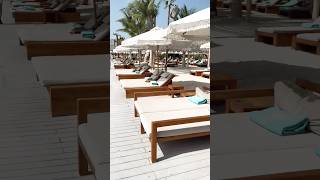 Dubai🇦🇪 Beach Club dubai beachclub travel traveling [upl. by Omidyar]