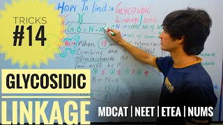 Tricks about Glycosidic Linkage  Glycosidic Bond Tricks  Tricks 14  Mission mbbs [upl. by Ellynn]