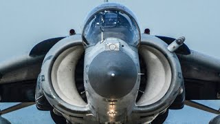 US AV8B Harrier II Attack Aircraft Preflight and TakeOff [upl. by Maurili369]