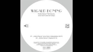 Wigald Boning  Kobra Dance Joris Voorn Remix Interpretation [upl. by Friend]