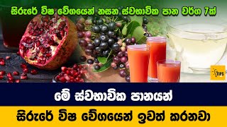 සිරුරේ විෂ වේගයෙන් ඉවත් කරවන ස්වාභාවික පාන වර්ග 7 ක් Antioxidant Drinks That You Should Drink [upl. by Alayne815]