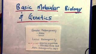 Genetic heterogeneity locus and allelic [upl. by Eyram]