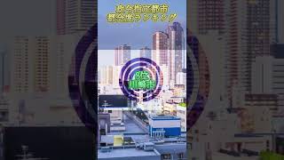 個人的政令指定都市都会度ランキングです！ 地理系 ランキング [upl. by Nylek188]