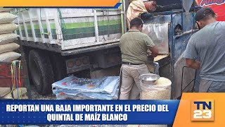 Reportan una baja importante en el precio del quintal de maíz blanco [upl. by Etam]