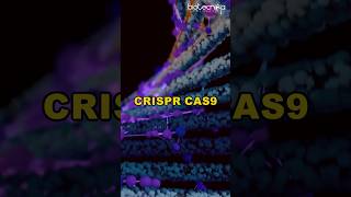 CRISPR Cas9 For CSIR NET Life Science  UNIT 13  Methods in Biology crispr csirnet [upl. by Herm]