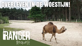 OVERLEVEN IN DE WOESTIJN  Ranger Request [upl. by Haim]