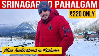 Srinagar To Pahalgam By Sharing Taxi  Mini Switzerland Pahalgam [upl. by Scott]