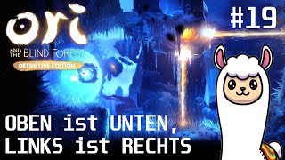 OBEN ist UNTEN LINKS ist RECHTS  Ori and the Blind Forest 19 [upl. by Elleiad]