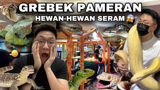 GREBEK PAMERAN HEWAN2 SERAM DIDALAM MALL ASLI KALI INI SERU BANGET [upl. by Aciraa2]