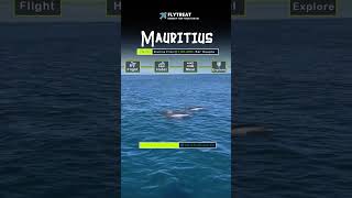 Mauritius tour package by FlyTreat  travel trending shorts mauritius packagetour [upl. by Mansoor]