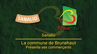 Présentation de Sanalio  Commerces et services de Brunehaut [upl. by Switzer]