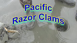 2024 Pacific Razor Clamming [upl. by Aryt]