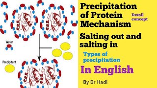 Protein Purification [upl. by Eittol]