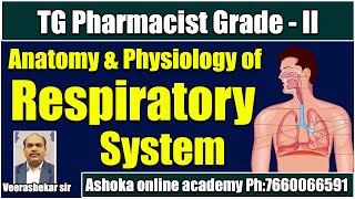 Respiratory system  Anatomy amp physiology  Pharmacist Grade2 Exam  Veera shekar sir [upl. by Enyal840]