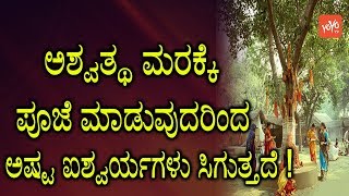 Kannada Pooja Tips  ಅಶ್ವತ್ಥ ಮರಕ್ಕೆ ಪೂಜೆ ಮಾಡುವುದರಿಂದ ಅಷ್ಟ ಐಶ್ವರ್ಯಗಳು ಸಿಗುತ್ತದೆ   YOYO TV Kannada [upl. by Ayotahc]