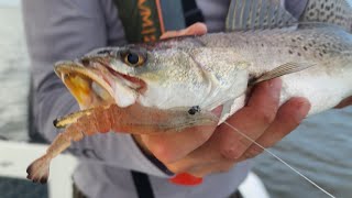 Speckled Trout Flounder  and Redfish Part 1 Fishing with Jason’s Saltwater Guide Services [upl. by Redlac]