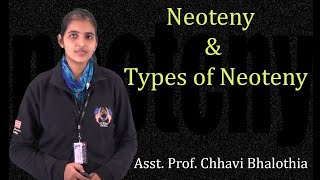 Neoteny Types of Neoteny by Ms Chhavi Bhalothia  BSc MSc  Guru Kpo [upl. by La20]