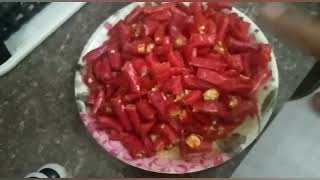 জলকীয়া আচাৰ  Jolokia Pickle I Assamese Pickle Recipes [upl. by Reeva]