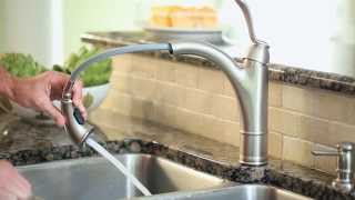 Moen Walden Pullout Kitchen Faucet featuring Reflex amp Microban [upl. by Vida]