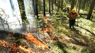 Forscher machen Klimawandel verantwortlich für Hitze in Sibirien  AFP [upl. by Sldney]