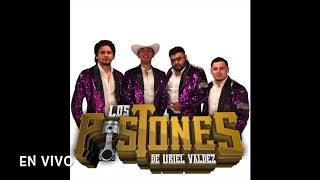 Los Pistones De Uriel Valdez CD En Vivo 2018 [upl. by Francois]