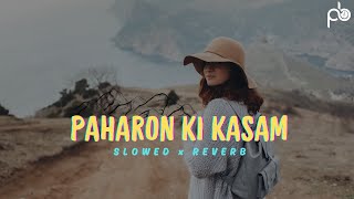 Paharon Ki Kasam Slowed x Reverb  Tum Chale Aao  Lofi Song  Muddassir Wadood  paharonkikasam [upl. by Hamlin]